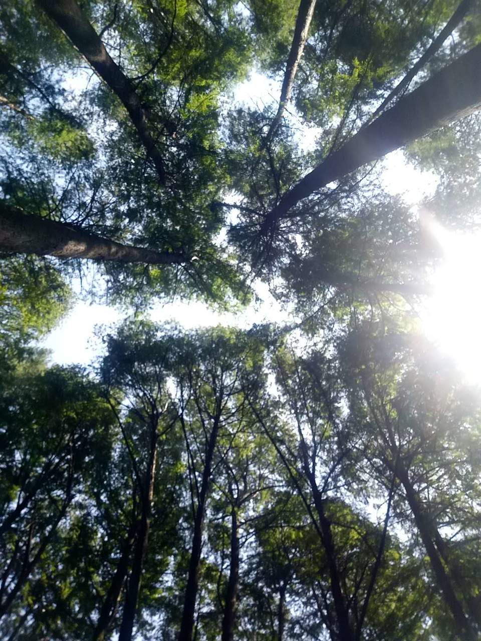 3G_9ACySdfgWFrWmebJtPkbOj1zjDfXm26Pg7L43JKUEtJDexCg8tetOGxwtHlwk