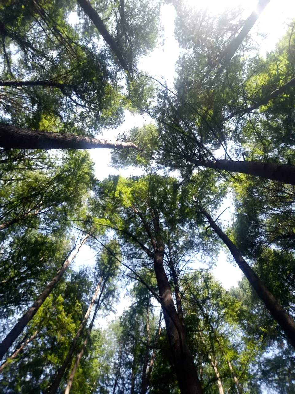 AAfqVVoI0zcVbGI6_xPwqVUZQo2mT-8NIWsl0bKwRvyvoKSbP4HBKkjPMiL07OY2