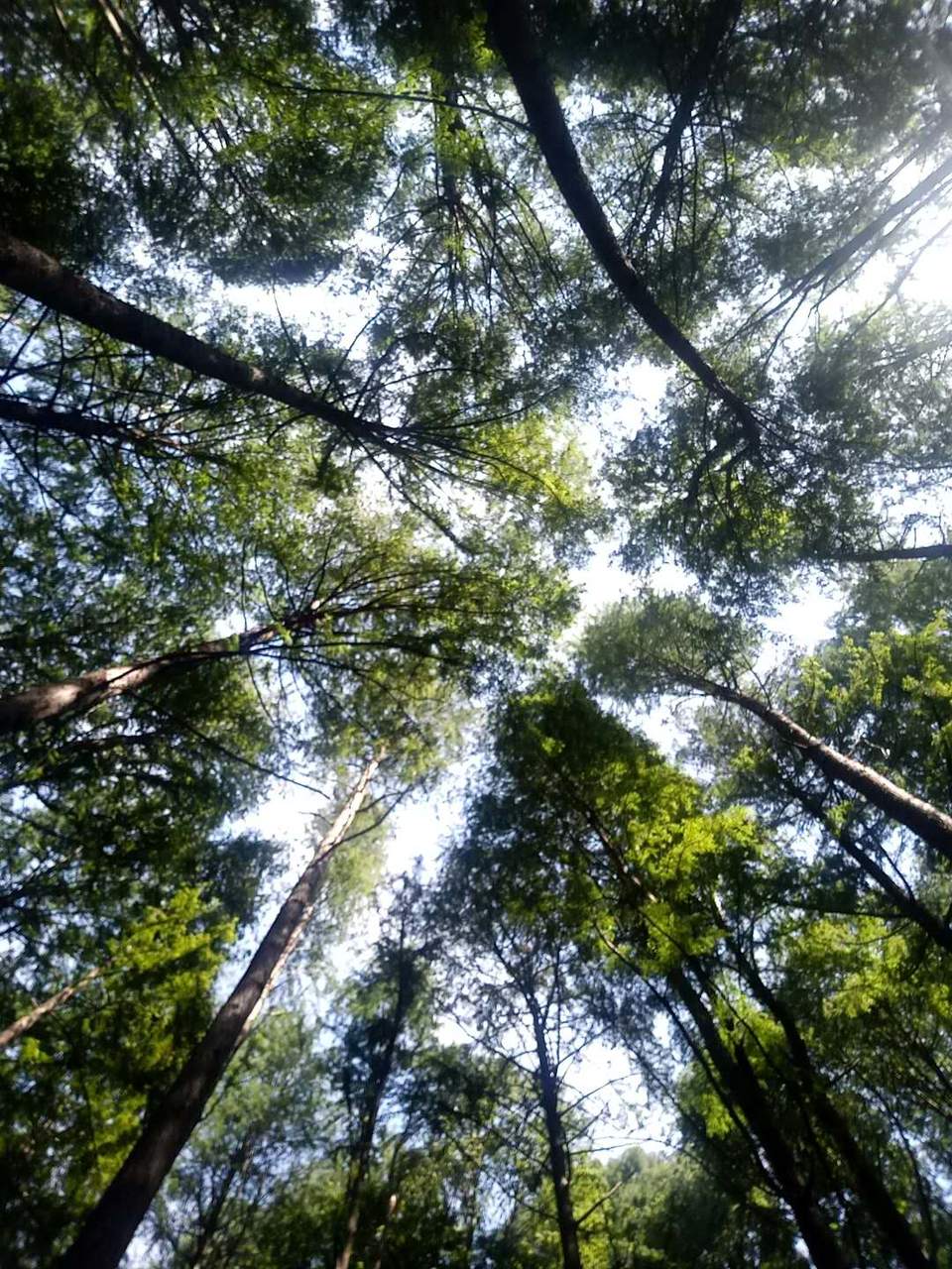 bQ_DUWd3bFoqFNXEZcOsNyepMxXEeSDf_j3tDbr9O8F42UrDmRx-xDmq9mCX4WLC