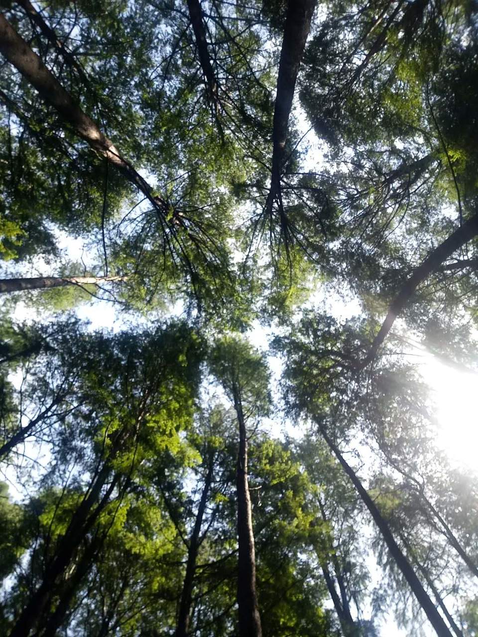 0dTP-zqjhPG1oALba2JnoOOnXU-68jQraqBKhL_YHTPg4QKRgBORRXcODZ_XqWNx