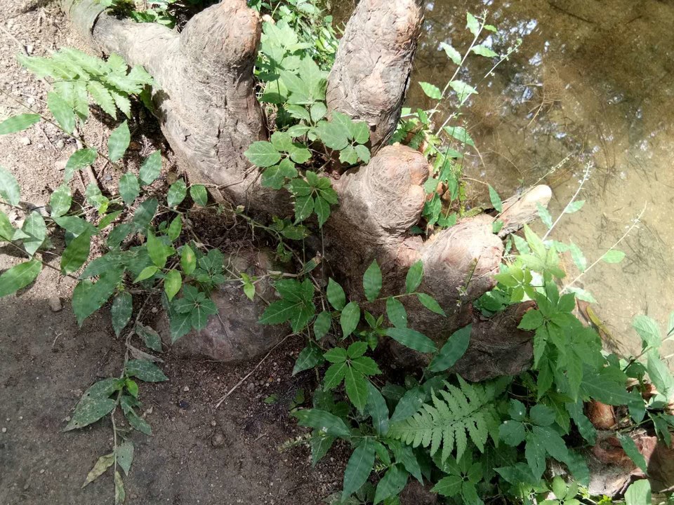 29jVYqvg-tQpiIbTAJIuSWt7vxCS1ssZHlhoW_5sJY40oxKQZ48RR7Aw8txOxalR