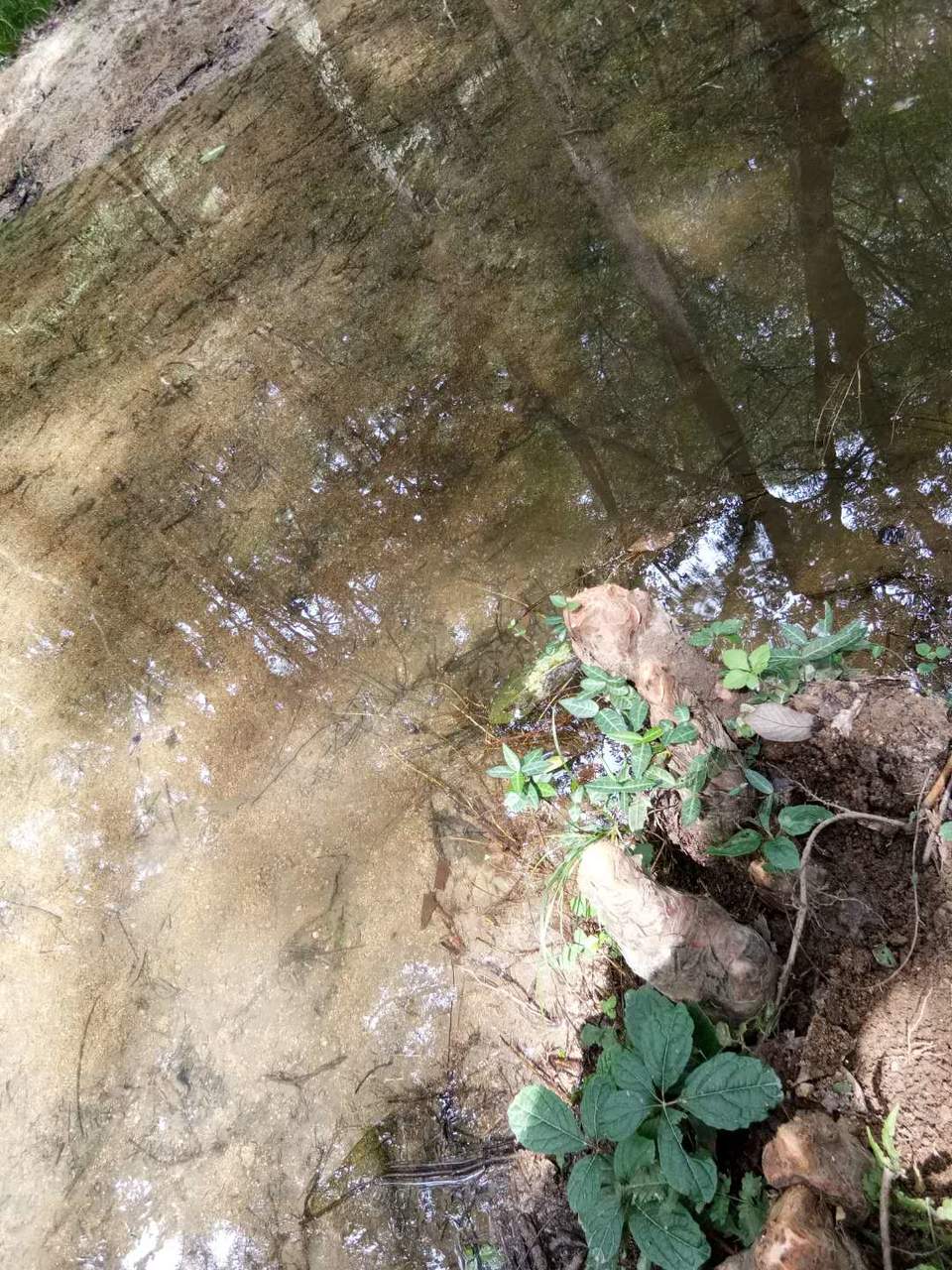 36Sm2GH-Fvs82KrQW7nAuLWsu2ULFKy4Ic0zwi-L9wltvvKR0FJp013s9XnpdSJe