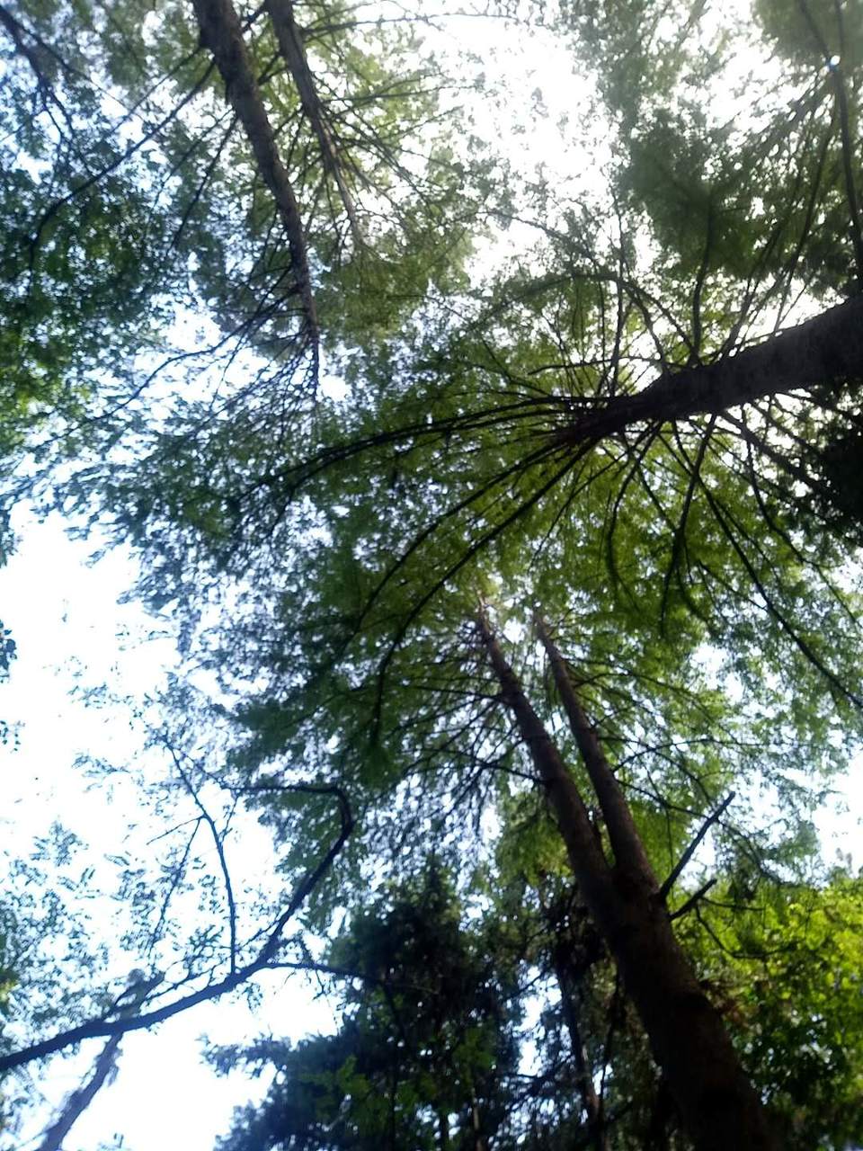 eb_8BdjGL2mSo3c-CN2E4ssCQs4b-exTVeApHt45cIyaU9DrWs8vVt_tt-rZZFhs