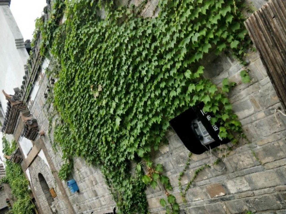 yz8a60SlfsJVF2NgyHTsccZW7R5MrfgauMpvpyCeZepXZhZMDJLXzmJK4h83V_eM