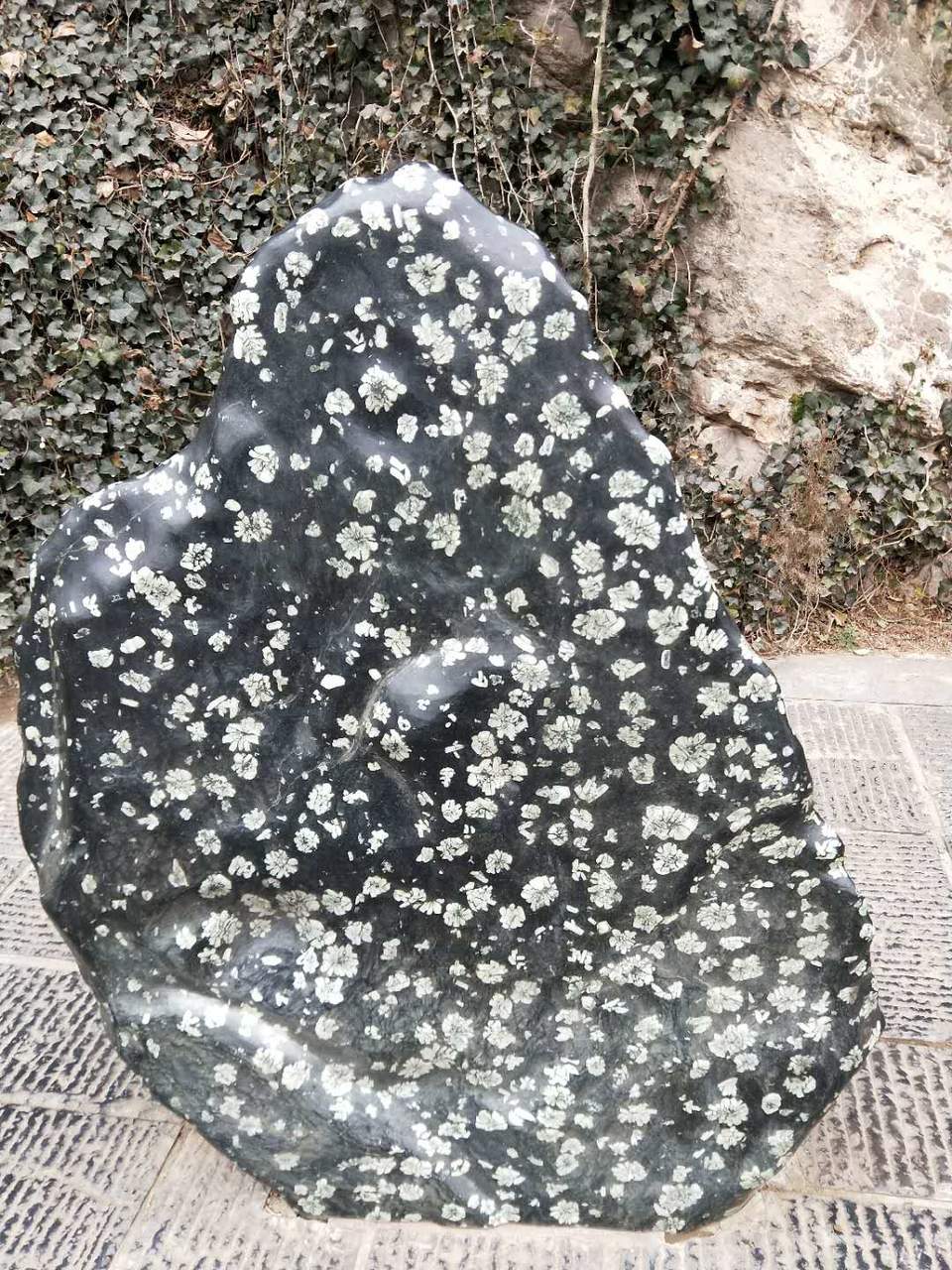 a3Wzgo8DWlZEo-Tt0i8eULzbcyRWcVKRONXclGn7ferqoYi7kkYlfuynbiEXTRYw