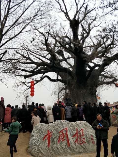 t45opTutWXReBdXgmXkpYNTFNe2nK7CpthGrcI2ok7rkDRRMqY36bK7kQBR0fmYw