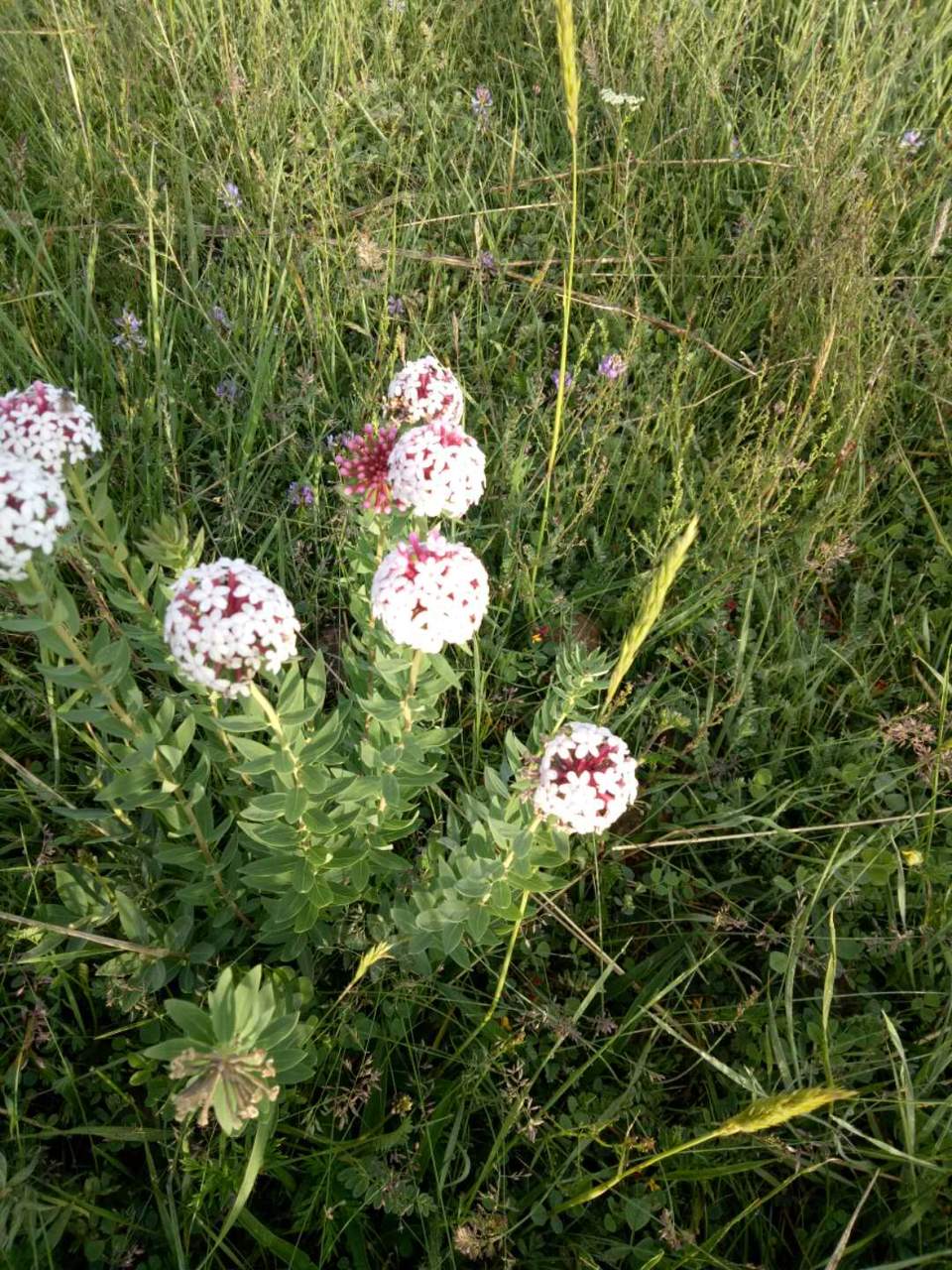 pGdfHqD52yhUgHh6UVBEw3wojZNDduw2VpMpunC69ILqt8L57jn0BWEc0RCKa14W