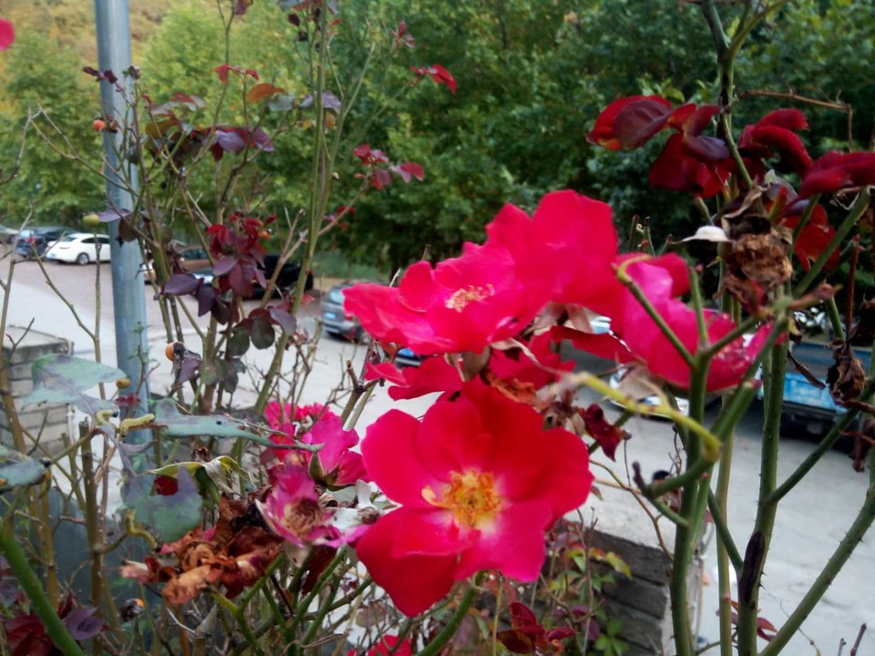 CebVGs6ttMg3cCyb0Q2Ve4jU2YgUeGRNjVE0LXa2bYQFUS-MatO8piAnLjFjZ7RP