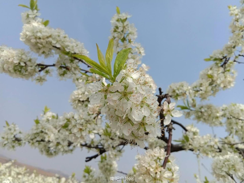 mmexport1521803081321