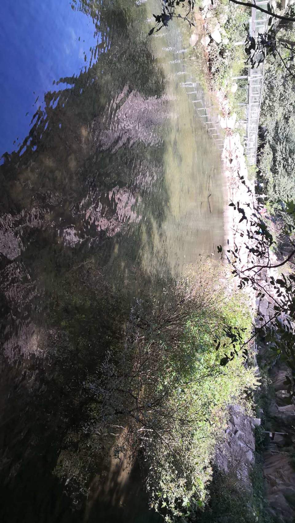 GZyEAGI6kt4rPdO7FbtjVoZrYohV8HIH5jBM4HvdUM_mF86dInw9SYYpbbxPjQd9