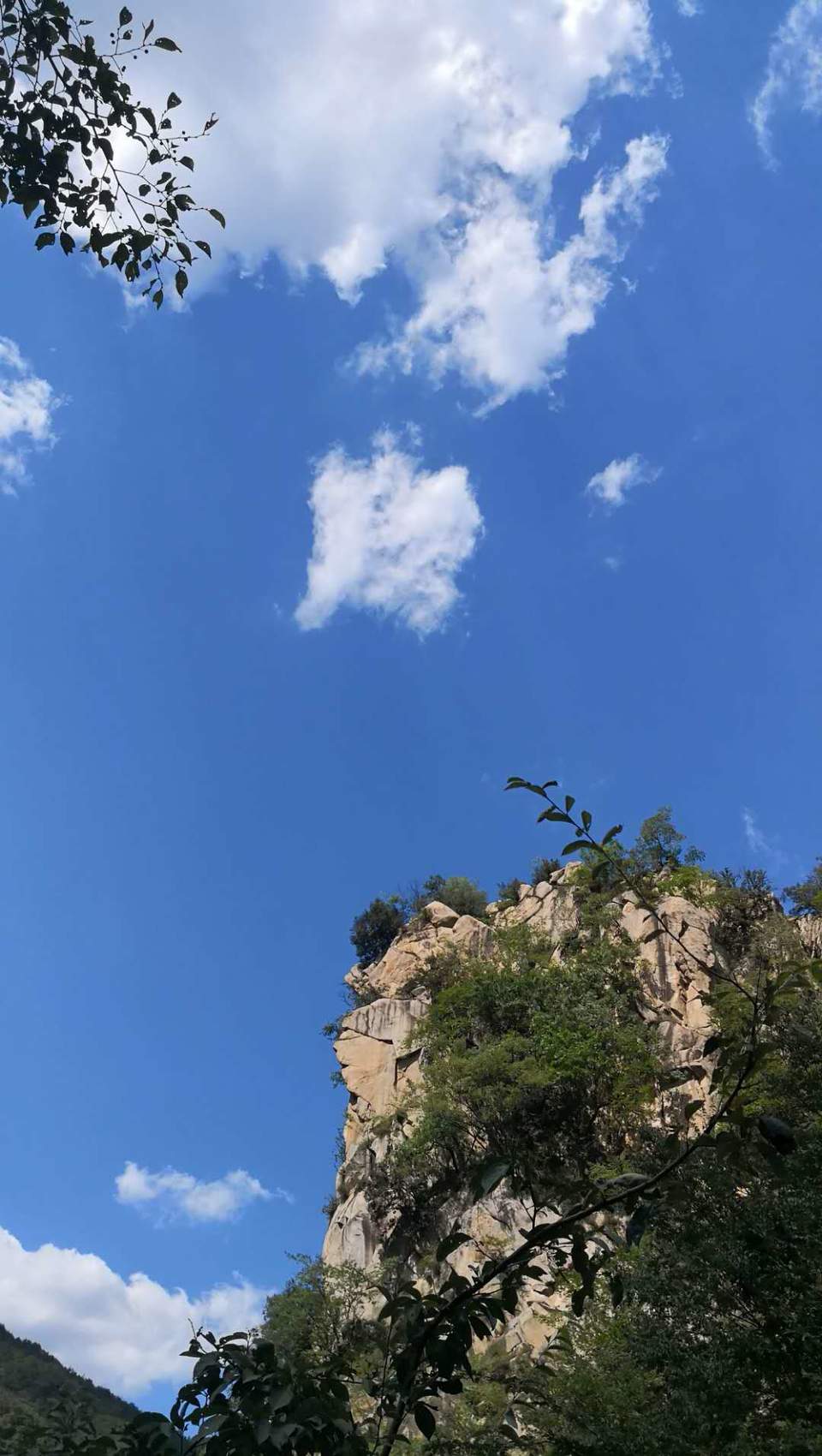 lw31OkgaFVrXd4M5IvjF9sN-0y6cL_rY0kr9hKI_wdpyw1Vkqhg9gPdbWZJl3A9I