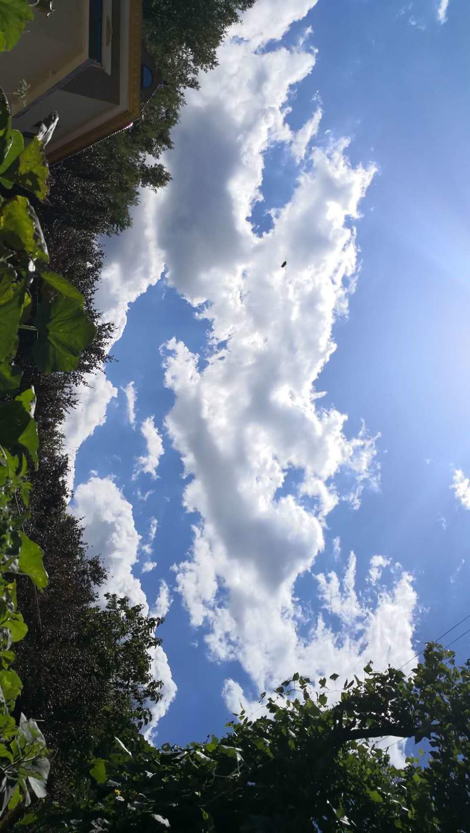 5NmhIfyrLi8I-uumuOuHDp1Im9PbW7m5IB47SCFSWjld60SFYXR6h2QJ3m7Za03u