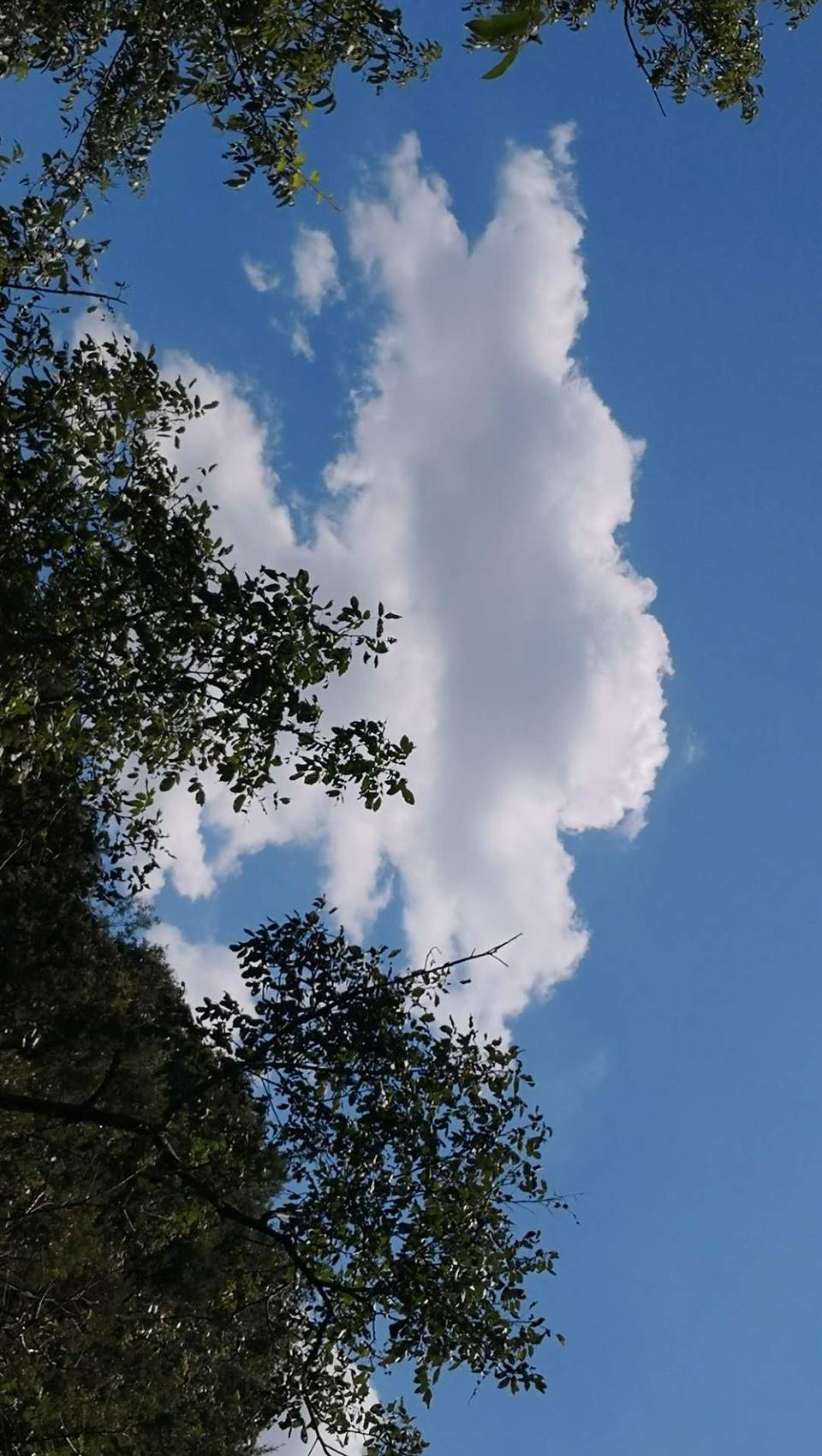 yz8a60SlfsJVF2NgyHTscWfvF2r6F9r1bC3nDlbTvOSMxMp52Py4scjrr3eJeH0m