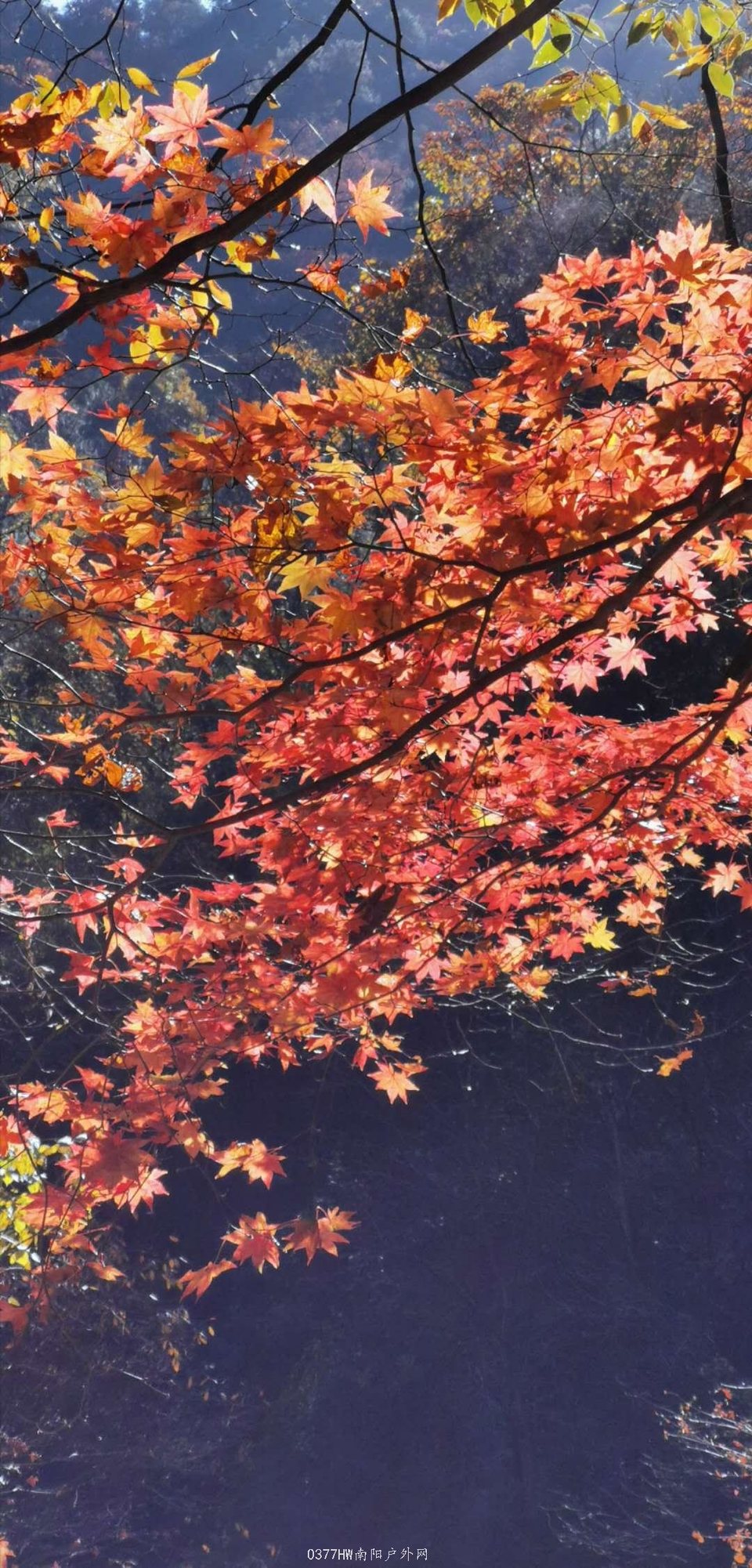 hnpHrAbRG9O26d-dLIlicHrr8-KAtTs6YoOBOhe9r5yuyezO85T2Owh5yev_W18I