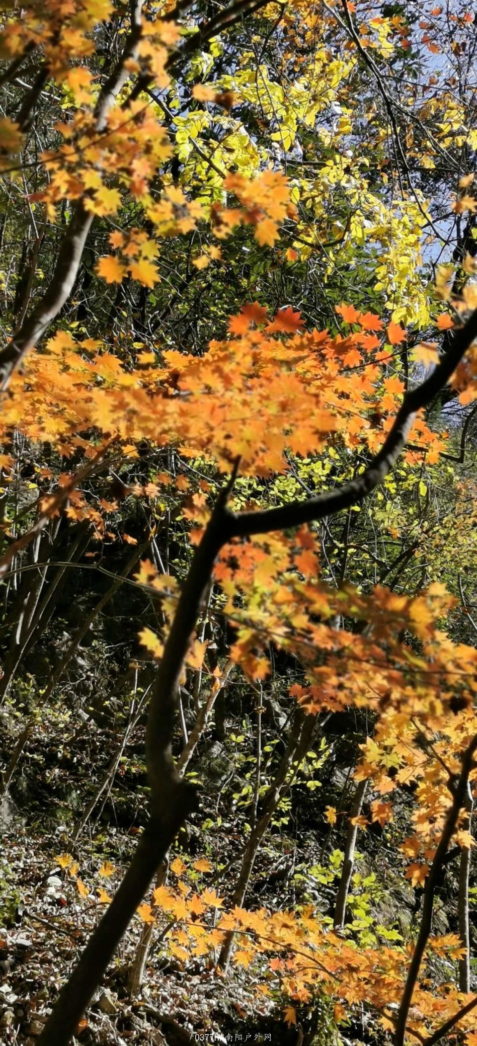 45iJbyFm-8wn51ScWQfEVCfbcw8WdtcKkc0Tz2AiCifdc69etZLe-Ny3YC0ZM57W