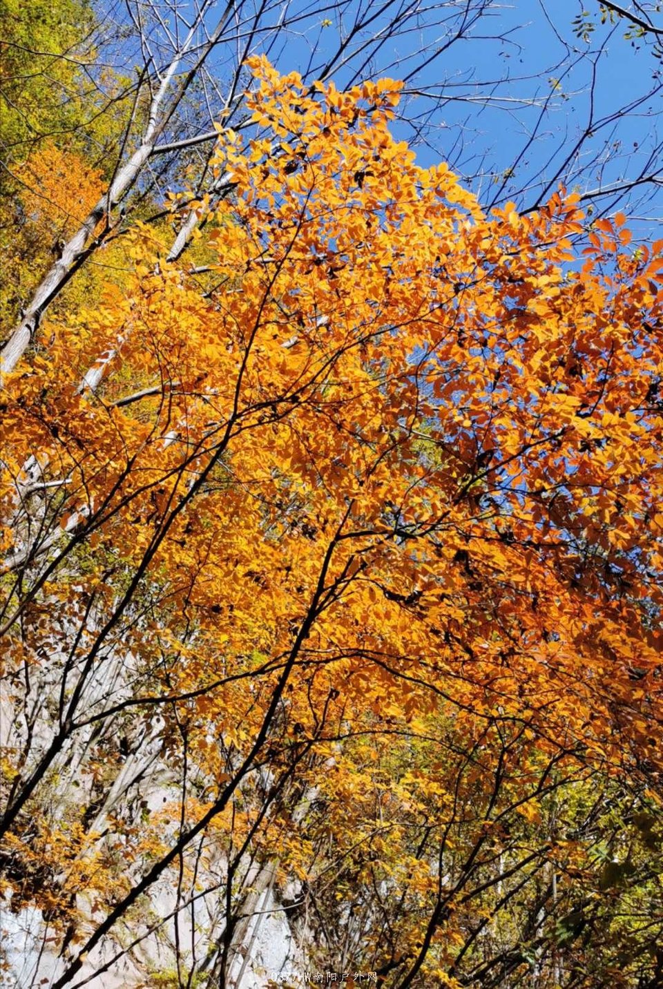 vEoU7NEJJ5iwjHiQZqQr6MIZahOA9KTPym-8nLXTt7IVfunqm_IlsWyjJ-W-6DtV