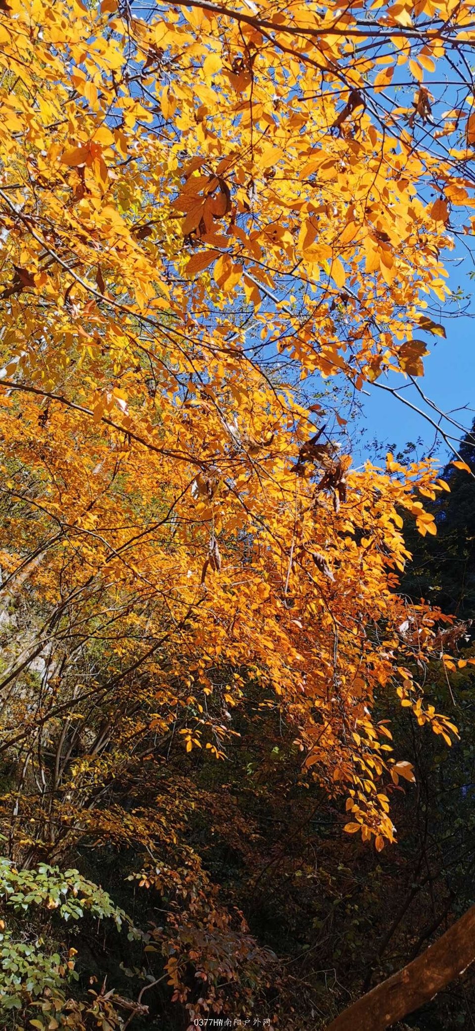 e8DVJ4-wkg8HkchRnsIZg2xvQ9Wr6qZsRyxzEO8awe3--8Qd4BDXw0V8Eyw8fJZ2