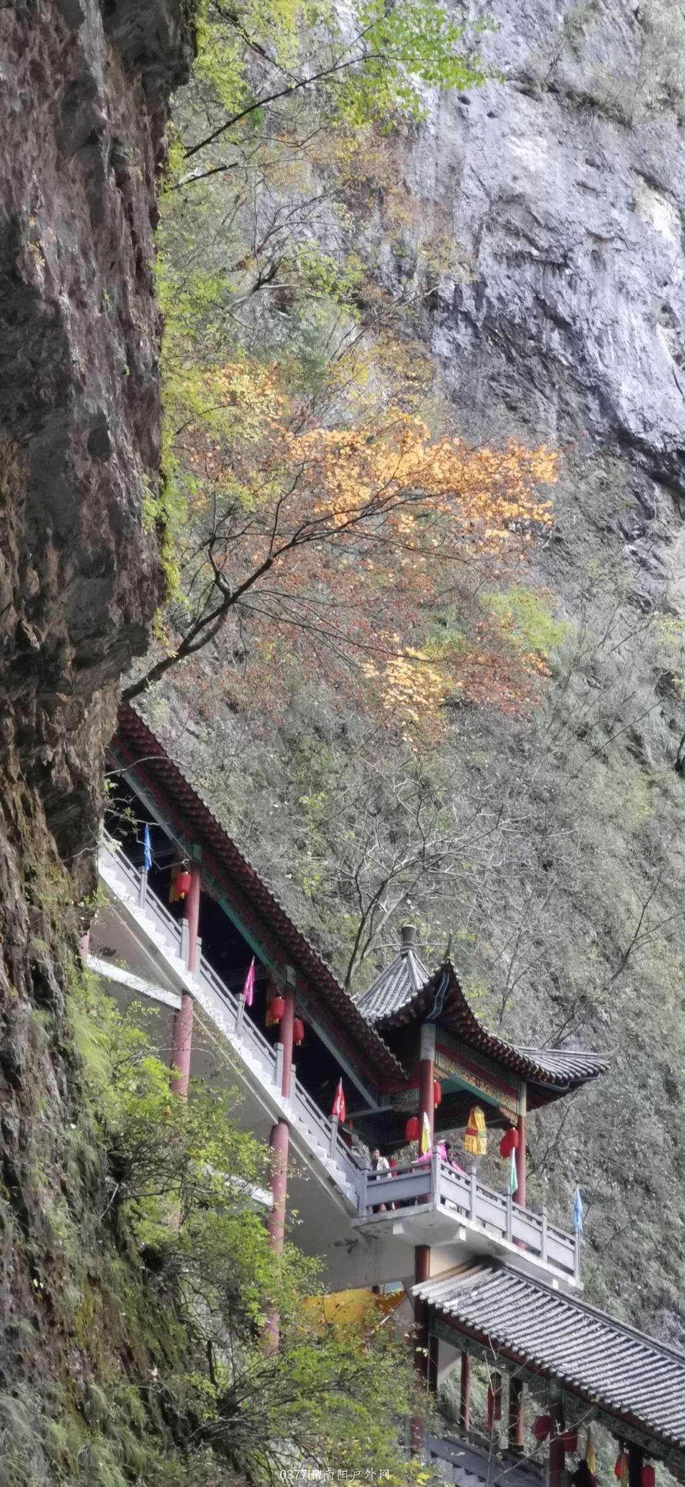 1cvoQ1zvP96UQUeE7BYuMcdS2OAXcJyUWxeDvclRrorhKGVvXX8N0ZTouCICL7LC