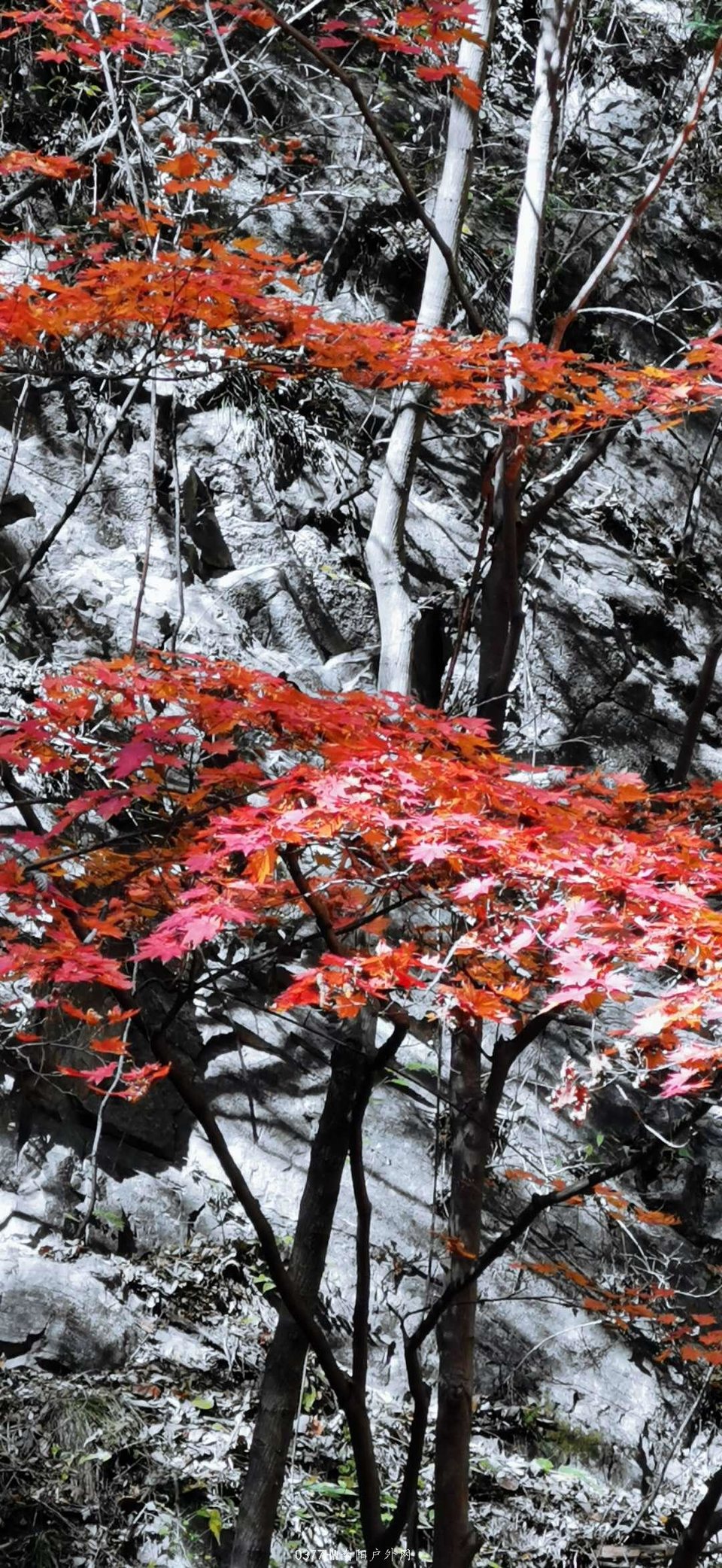 Q3ucNyOTneojV3yxsPolmNIVLX2MusQmVlYtkeJHB6bOatxkYnzvkkXZrui_agjW