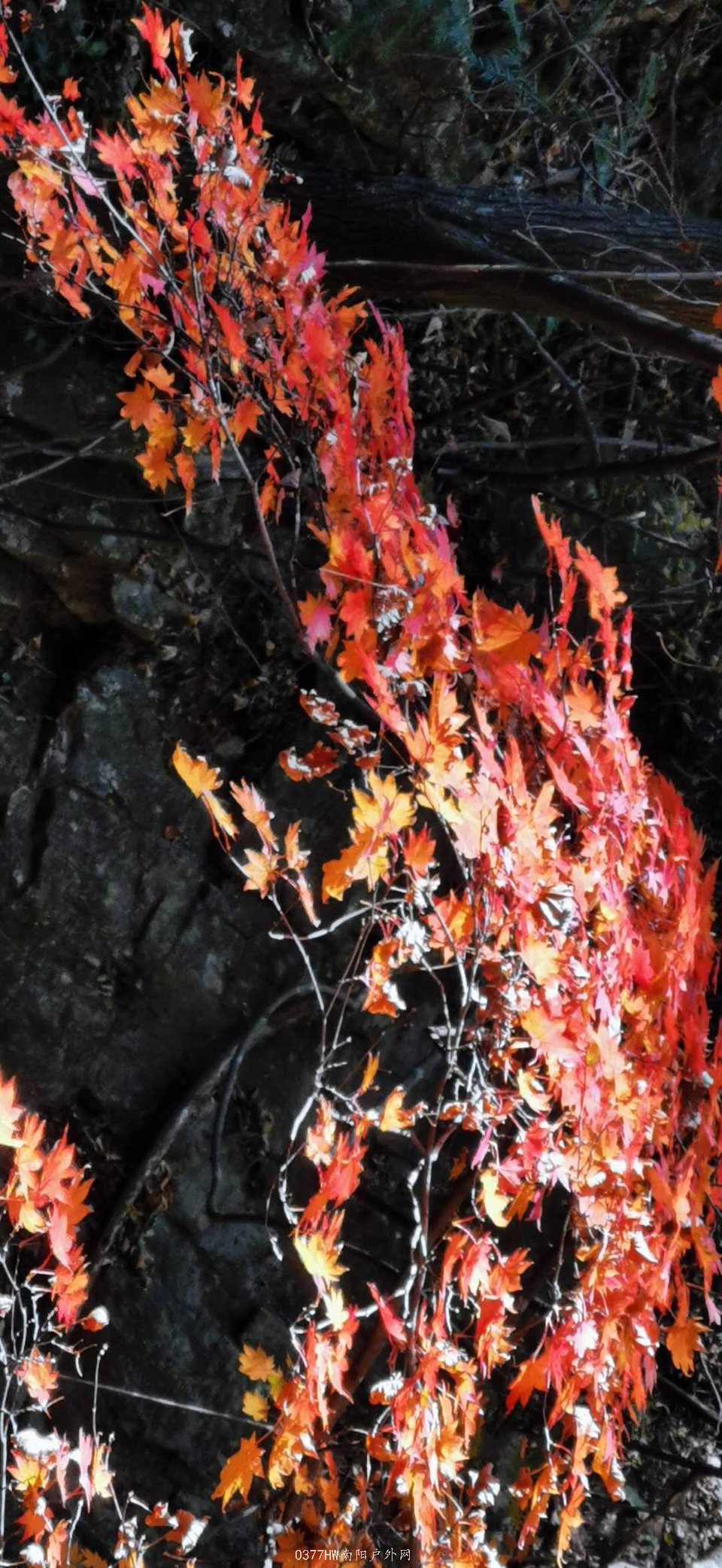 X-s7xL3NFDpCA4elpYLxd2duccdmitPDRdbfQ2mvas5b9y4Hl86TNZgiUM2MnhIn