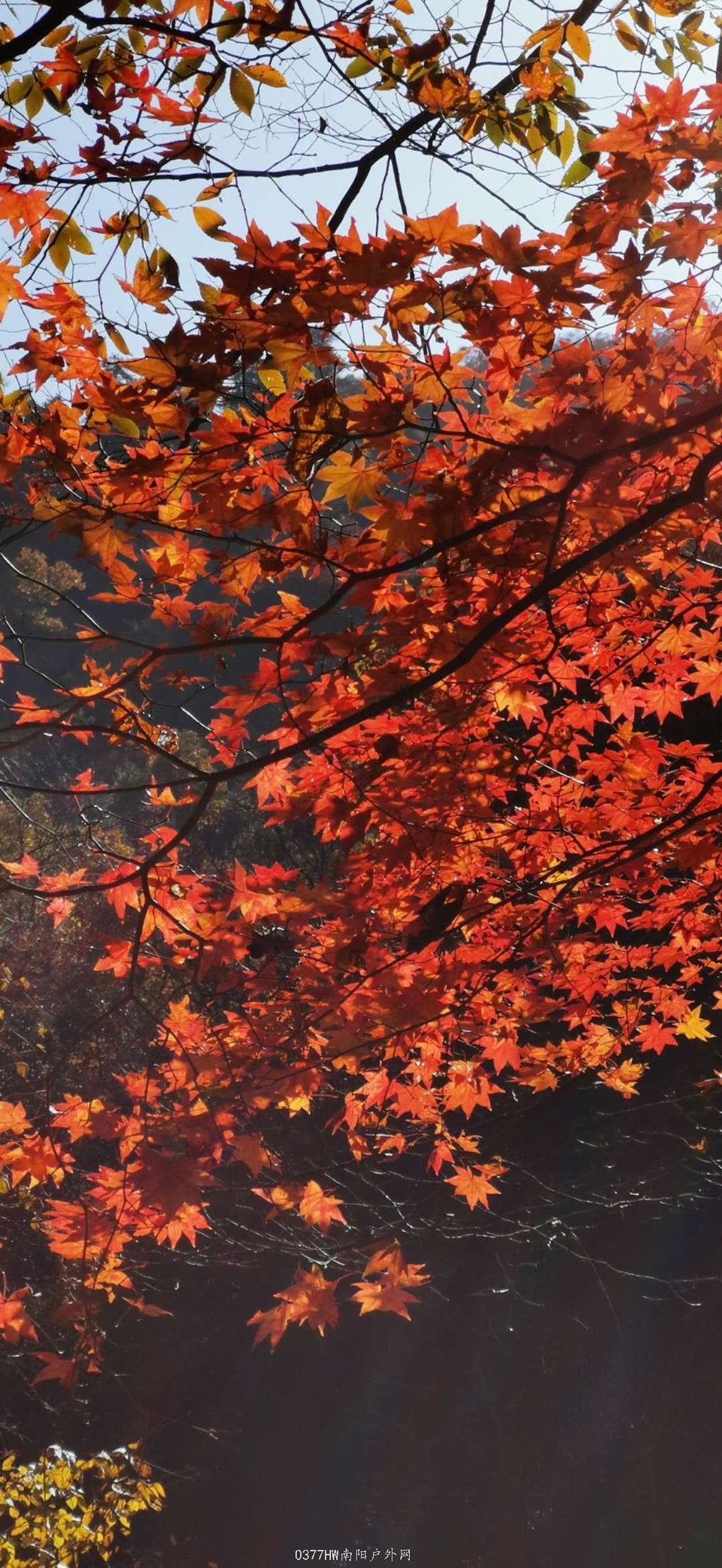 QSrwoN_SMC9KGOE4LOEPDadmQE4v62WCQtpBlLu9FWwEzEArC7fzOLsovjnh2vFh