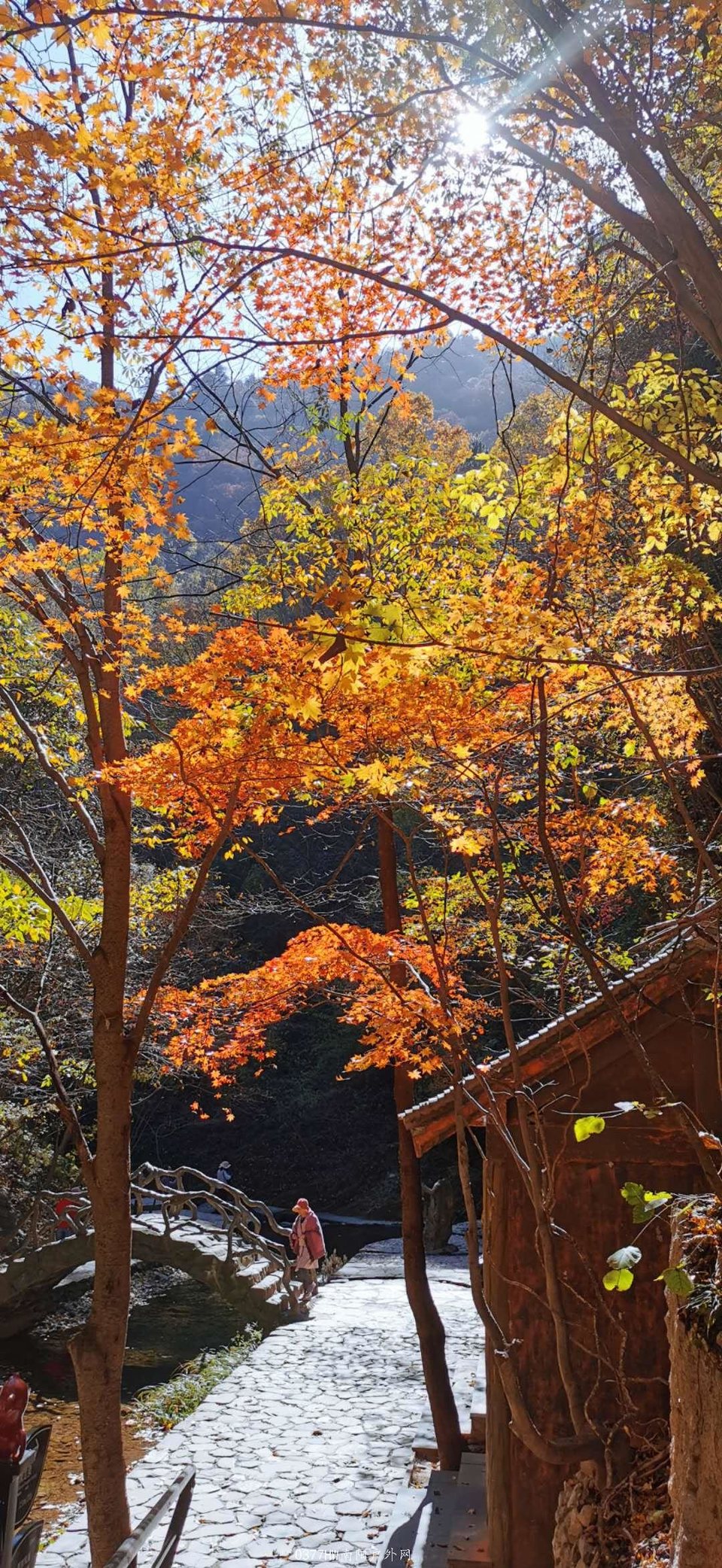 _U8KvSGddjvegX3y4B3xNfXNTIYW6Sl5zRHEYJ71_uzjsn5q9FS0Zii60LHzlR-Q