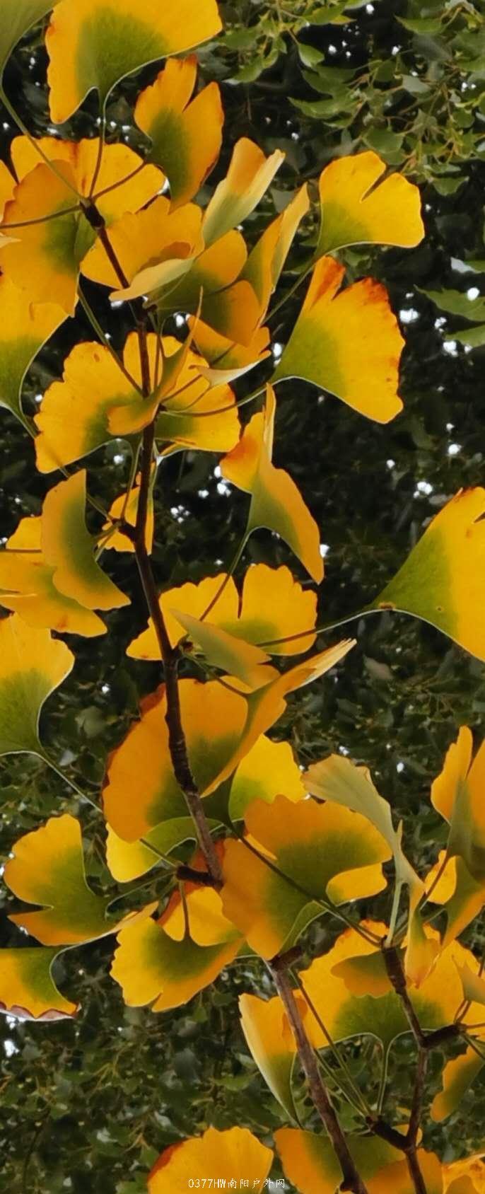 KYlTlI10bbVKq622yb-iXA9L8IOcj_qIppxKYCkYkwXSxOlwYqzunF2LSRpftkgH