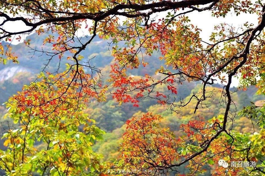 NwiVQtkdcDIPeT63Diw1IQ-5SKt28VDrgkx1N5Xn0XwsnGHKAuLg-iSYo09-_Hvg