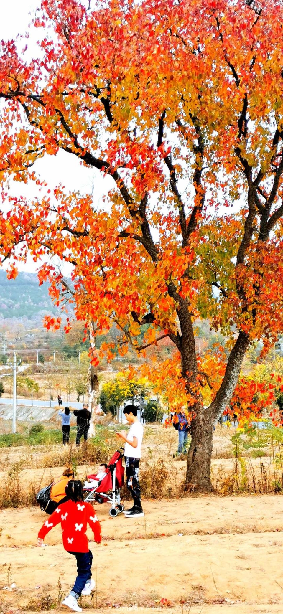 _FacYhDyEqwm8LuErUQKbCqOIBD9KV77z9Iga5aVV2dMAIfTvCOr52xvP_GFA3CY