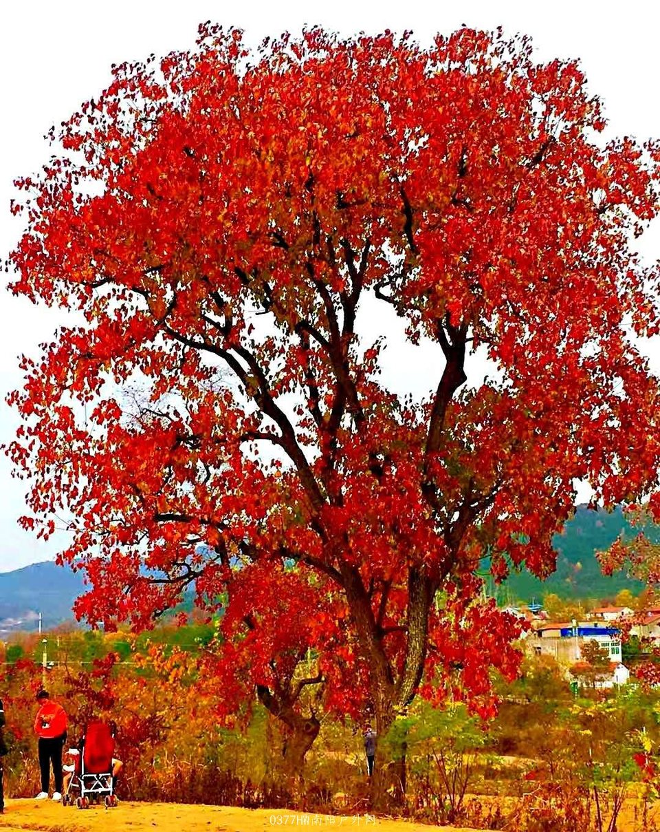 Bcv5CAIiUGZpgVFIfOWK-Ln9vk4KZaDOqvSqYpPSBbh38X8n2li85Z6xOjYoQBGY