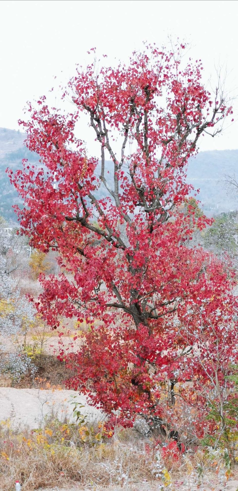 Z2wOC4_1JS2Sw-M2cXHmHouqSdP-I7OGkmxtof9SU5s50ow8P3l_xTuSmuvKGi_g