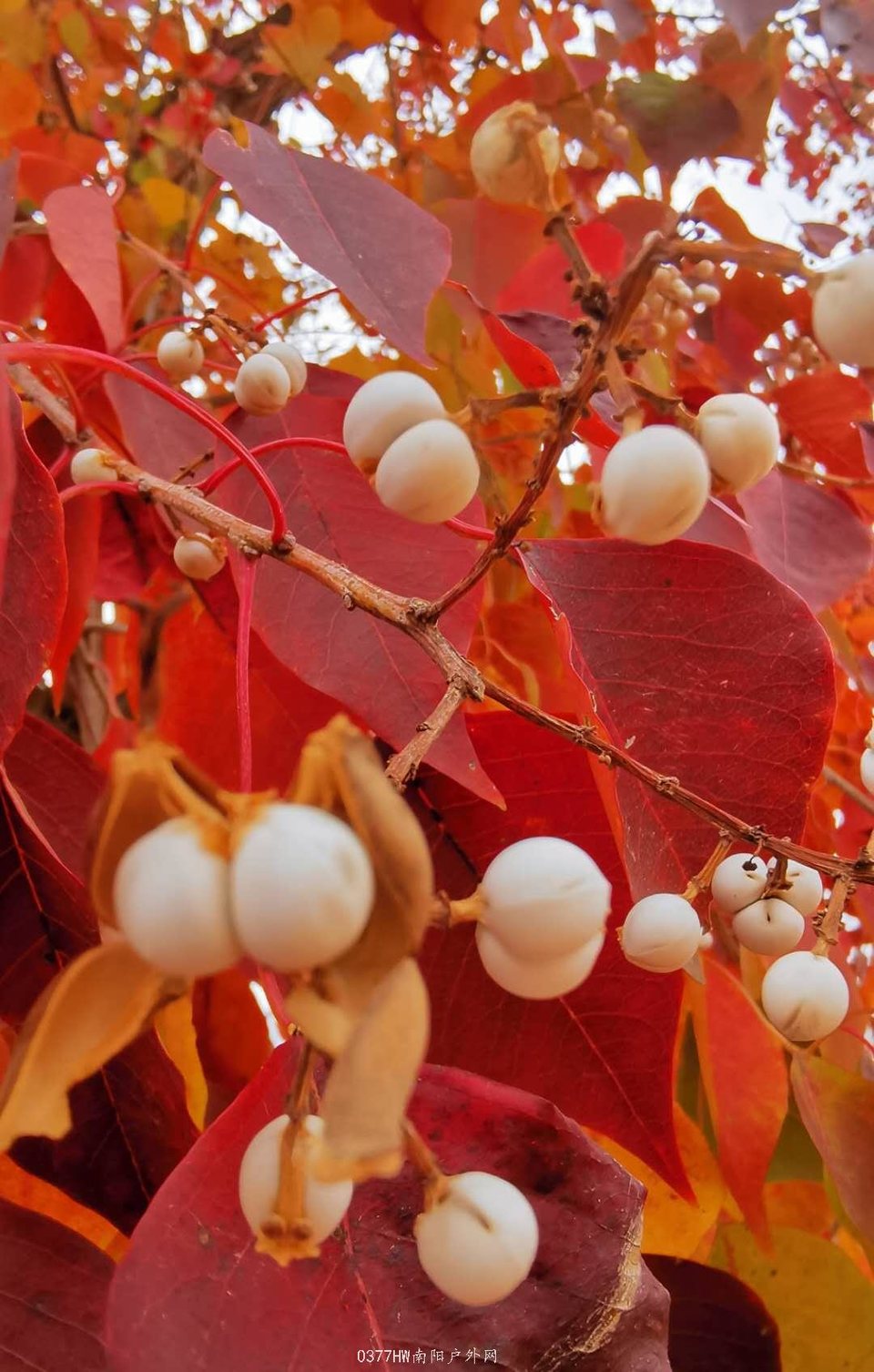 zCmjXpQfx_z0IHrn_Tr2XopiGdP829HG-B77c_mxxXUHkX2cOjM6Yw1EGbpK2Enr