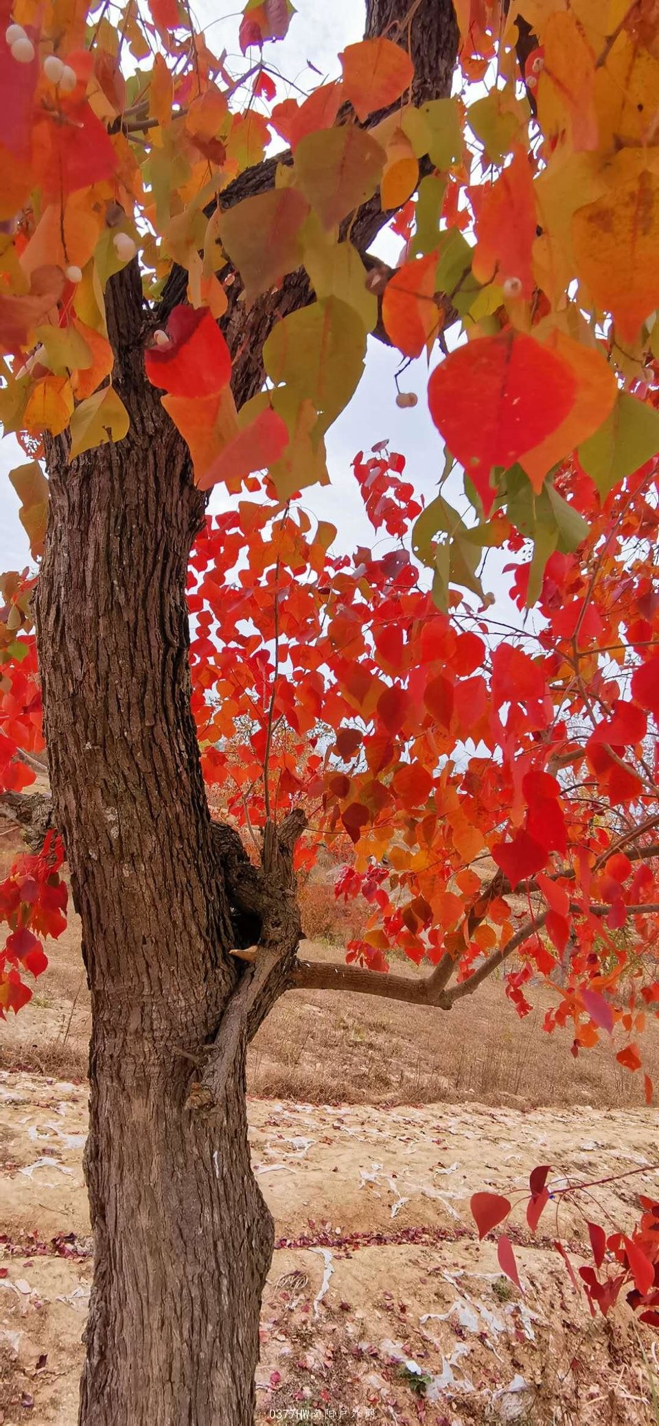 YMcAtGacRP2LyuT26VZlFzxWQH4uY8juoGtXuJ9usbaVHUdmftxMmc-dR7cEbgUf