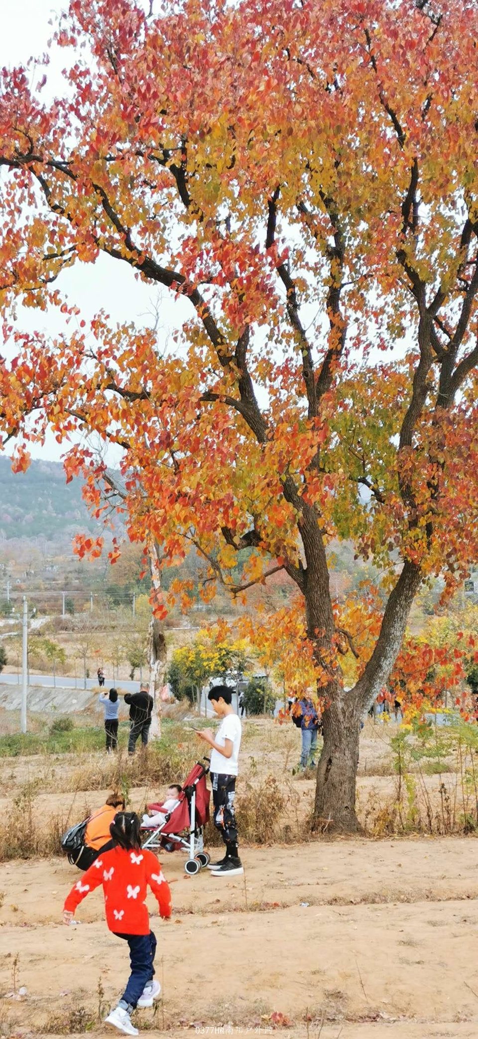 _aVp0sNGxndf3vhx1-GMnnTxmkT88U56hfC57aits0hmEFc9-qf8wEq6M7I62BrM