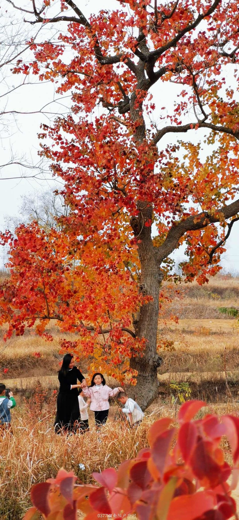 B5LMfnlkwh4xbB61Z9zXcI8I1HNh6_MQb8VNGjlpiPpfB04aq7sjQ7lmTICX5Z1e