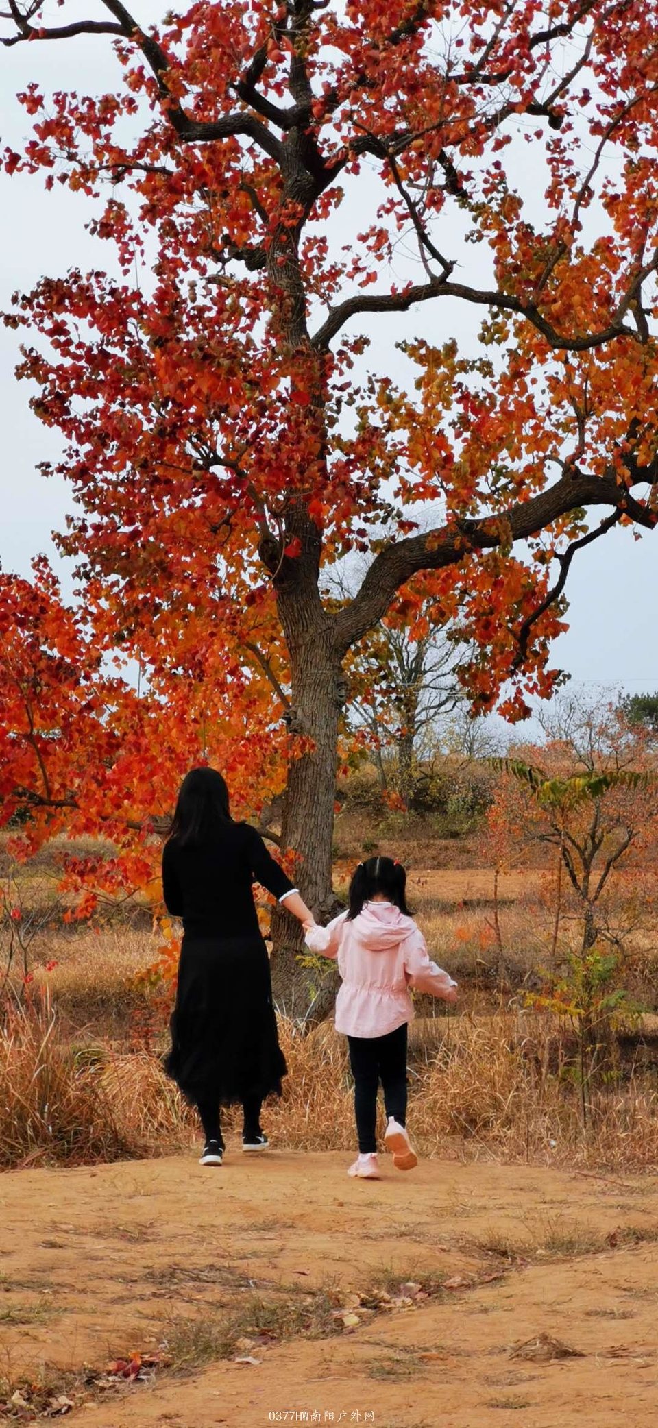 qr_BBpWF_ZPZ06jTPMMHzCzuxk5-XTPYyDRLajwuk37ErxURDaKAjYJy6wlTPBAO