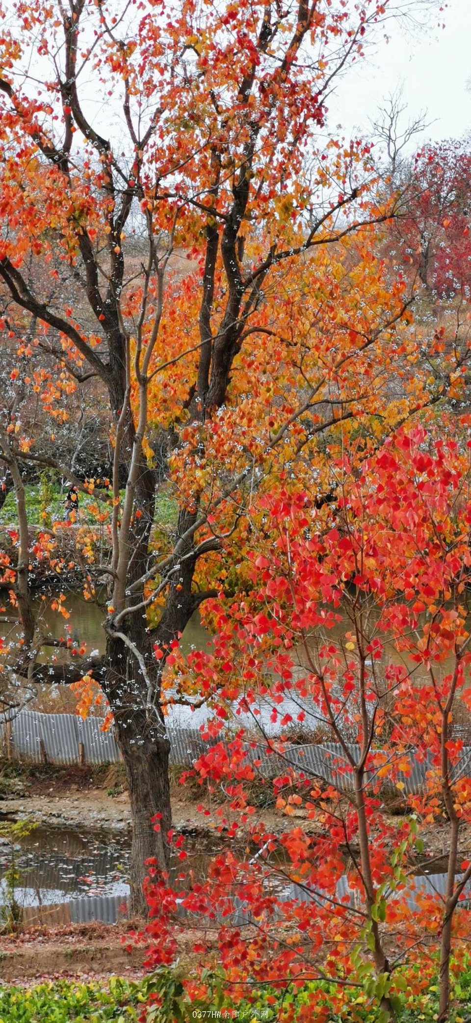 OA_X1Ky2U2CnrODiniPGPnWC11lv_o-0yG81DCp9LYYVNw55iNvF2k7ipz2udUrj