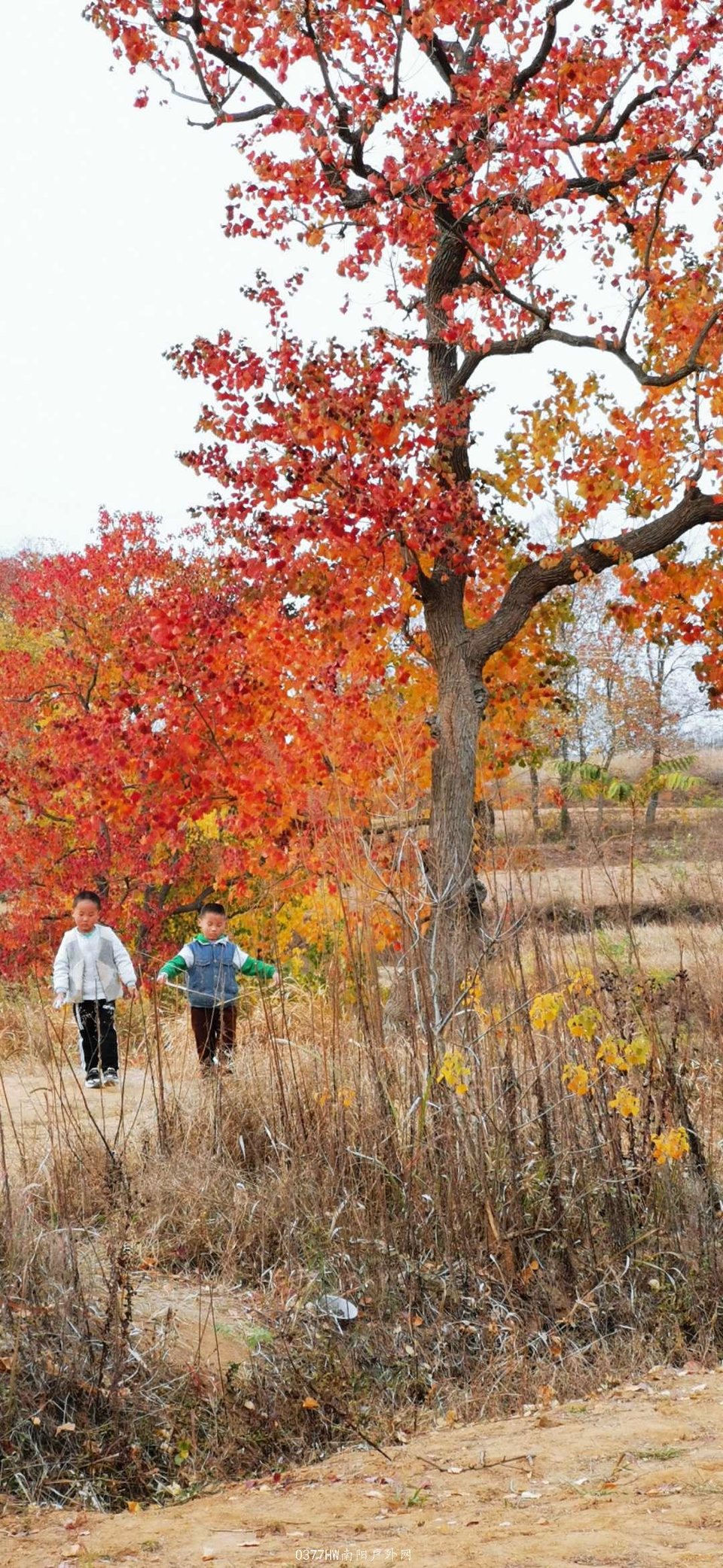 SNQ2G0Zs2j8l1oWZysuR4SsEHtd9D96cHorJn6PFLHnmJG4DNBApw0bBcJLNabJo