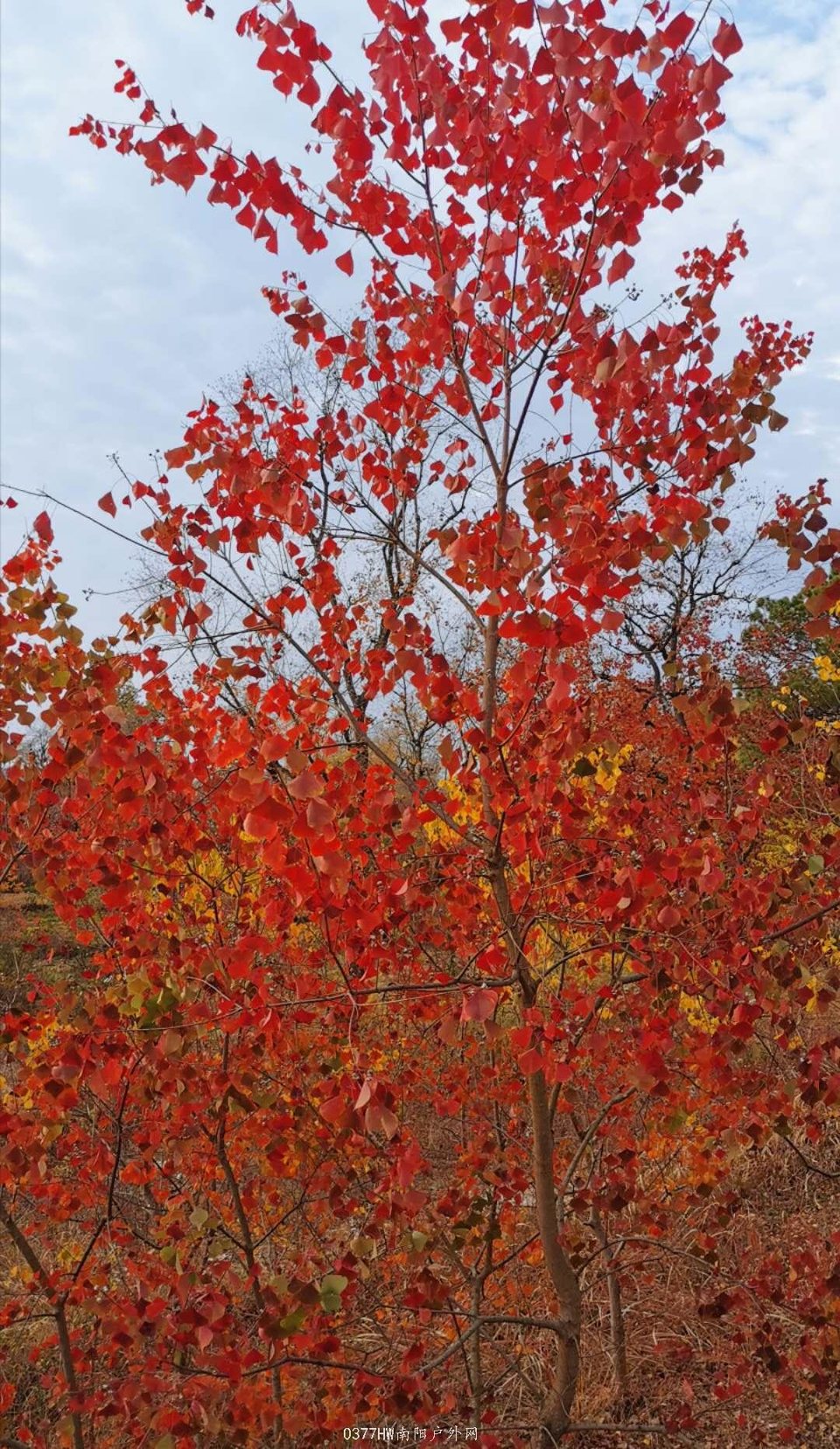 qLT0Mz-FyE8SDZV7nxeuuxXEwwQMkDrdF9uvHfnElJXuzEVrxovqR122eh7uSFFh