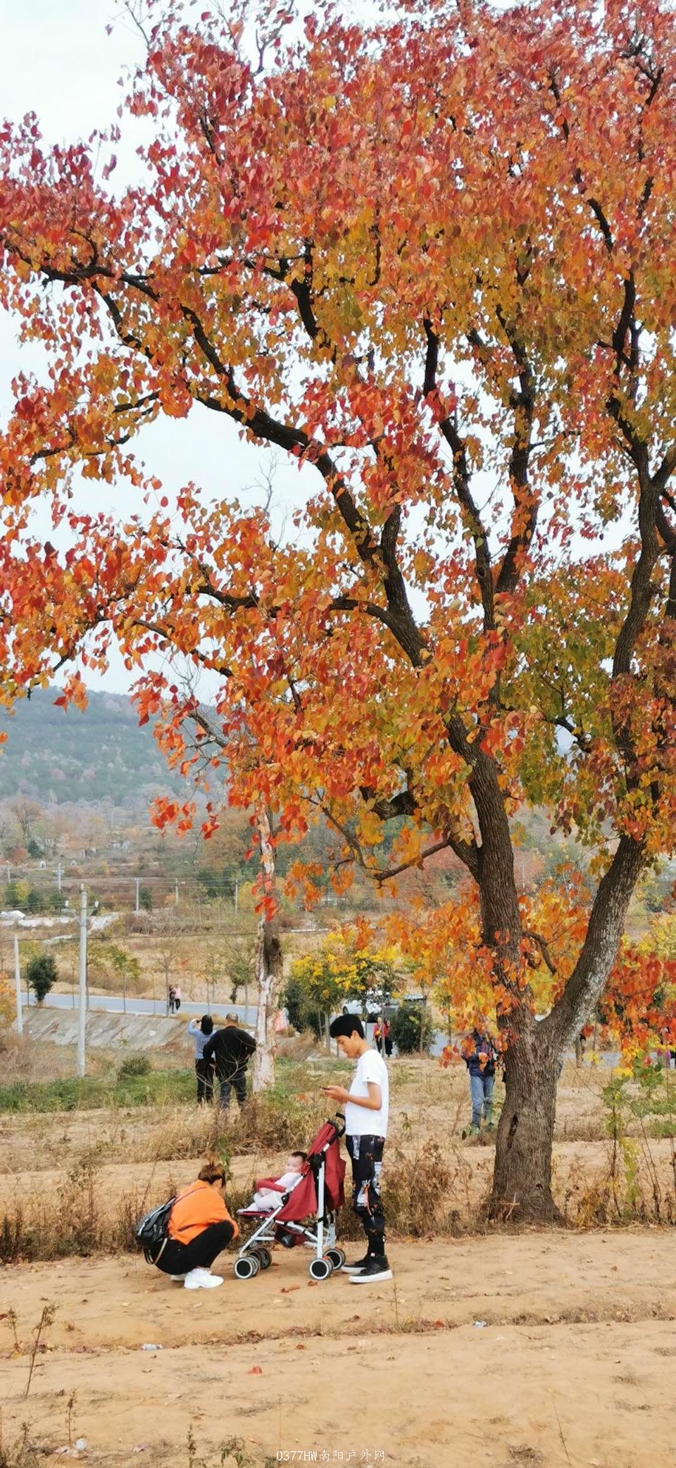 2sJ9pw8WBP1UPCsukno9j8UDd3w4JxSdOWzHSzoQmW0B6wK5r0qjeY9OjNjSsqSN