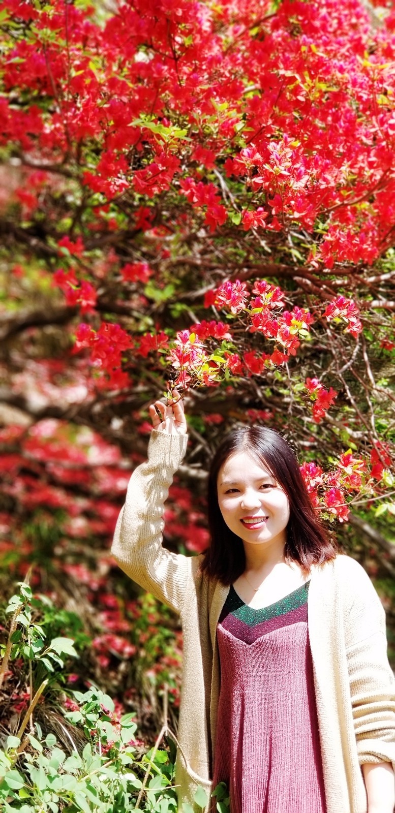 uri_mr1524806626481_mh1524806640629