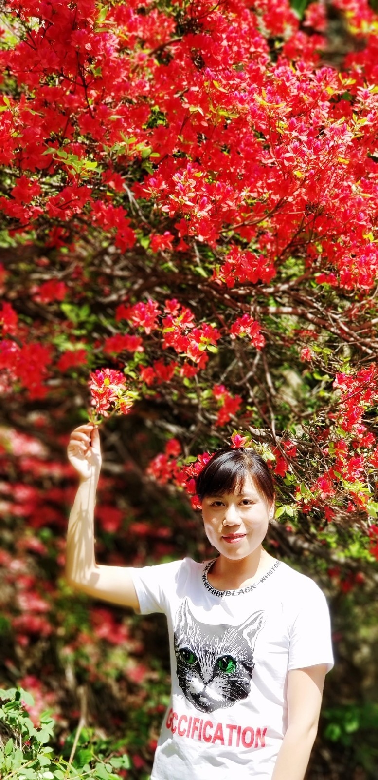 uri_mr1524806252088_mh1524806266241