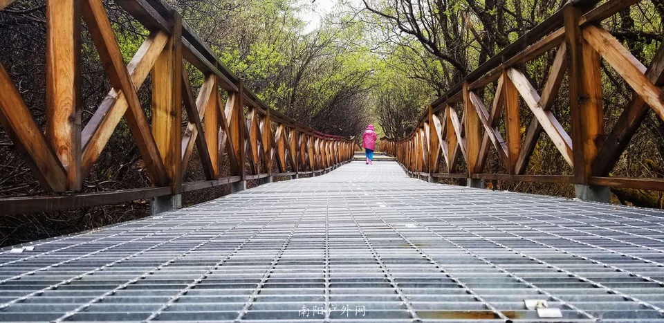 qr_BBpWF_ZPZ06jTPMMHzDF5gPNPVqguc3b4YLB3_7aZ9UMnN7bKU5Zc6rf6Tmjn