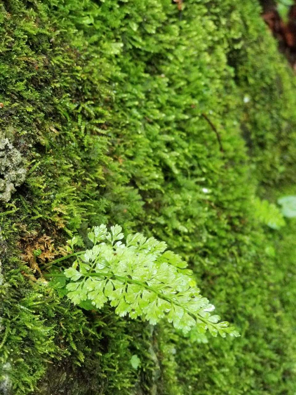 U0VJR4VVsanAWtWjLm_czZecft2D5nbzonIFUiJwySyk_dkXnlnLRnPk8fICiQPL