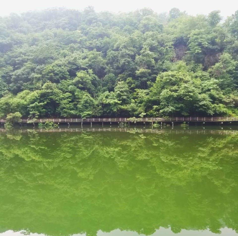 tdmeE0jGXv5uqDybCWh9lOHGh9_h2wh14ujfI5MD1yRfP9mmEFGDqlb_G5hufJ6X