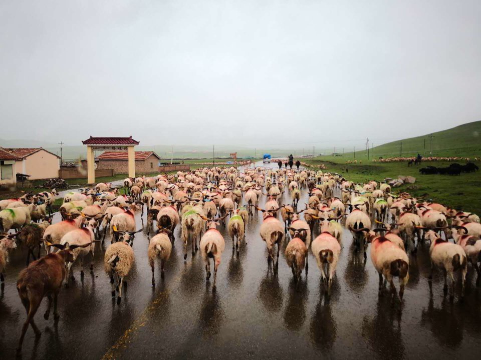 EwFiEJ7CsmV-Vwm34Fi9SMU_eQnSx3suLqjn9r0Mse3pXdAyu03wfRQY6Hnopf9g