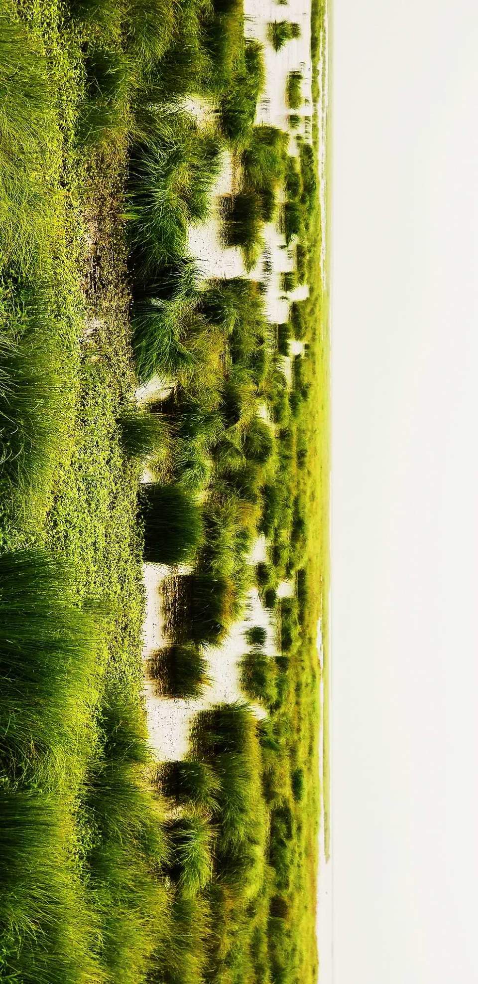 ixU_VohqgPf8r9IDnl6-y6YmAuhtgBe2-DLn9oaeO-ReZ1SOfsXC6DBXpNN6fCTQ