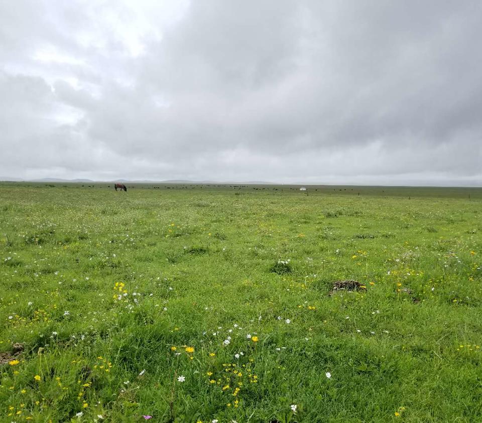 xfmTFDitC-IHrLPyKdBYEYiQ8pq7ZnlWTV0U5nD5f2xTt6wrOe0uij8KTy0JcCnG