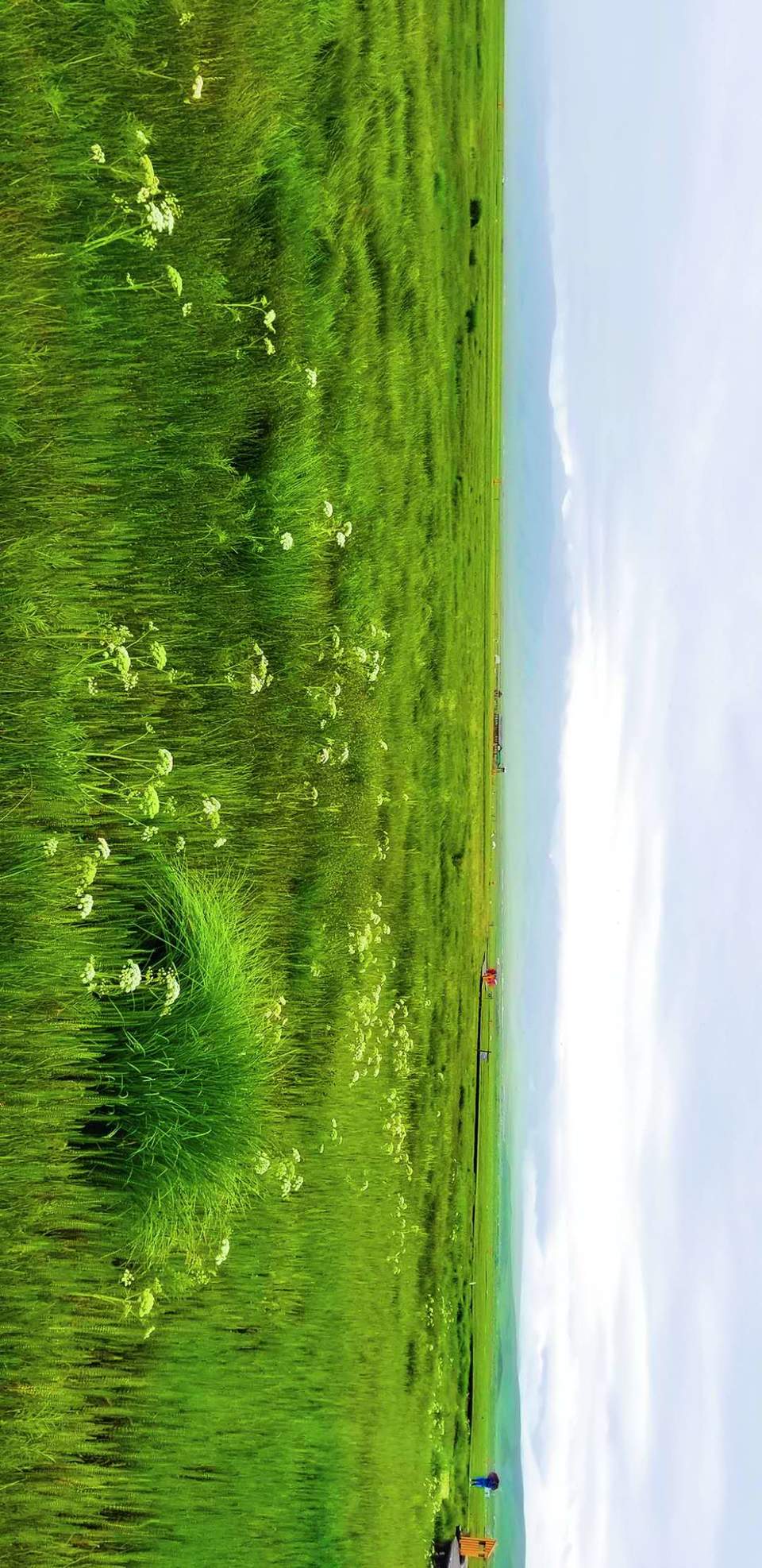 LTnpLk4cbQDtuiRtXjCSO45GHbLlFy0N001BeG8PKwc3yF34U0c_1JHnY72IS9E5