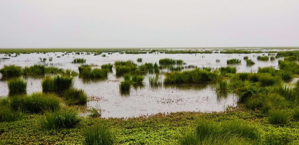 36Sm2GH-Fvs82KrQW7nAuLvVcdT-Li_lb-L1gKcwUDK074Ok2dMaj21Ucql6vonA